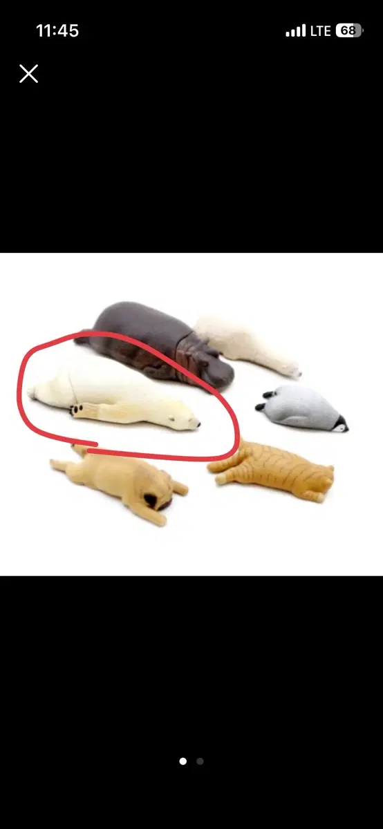 잠자는동물들2 북극곰