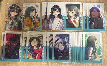 프로세카 에피카 ePickcard 시라이시 안 종합