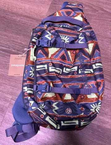 Patagonia 바디 백
