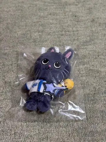RIIZE 10cm 키링 원빈 토냥덕