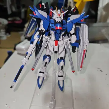 HG 라이징 프리덤 전체 도색