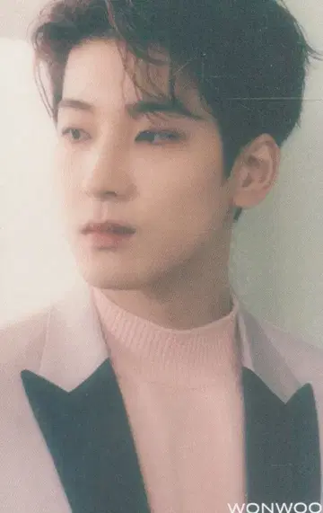 SEVENTEEN 히토리쟈나이 WONWOO 트레이딩 카드