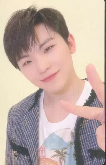 SEVENTEEN 히토리쟈나이 WOOZI 트레이딩 카드