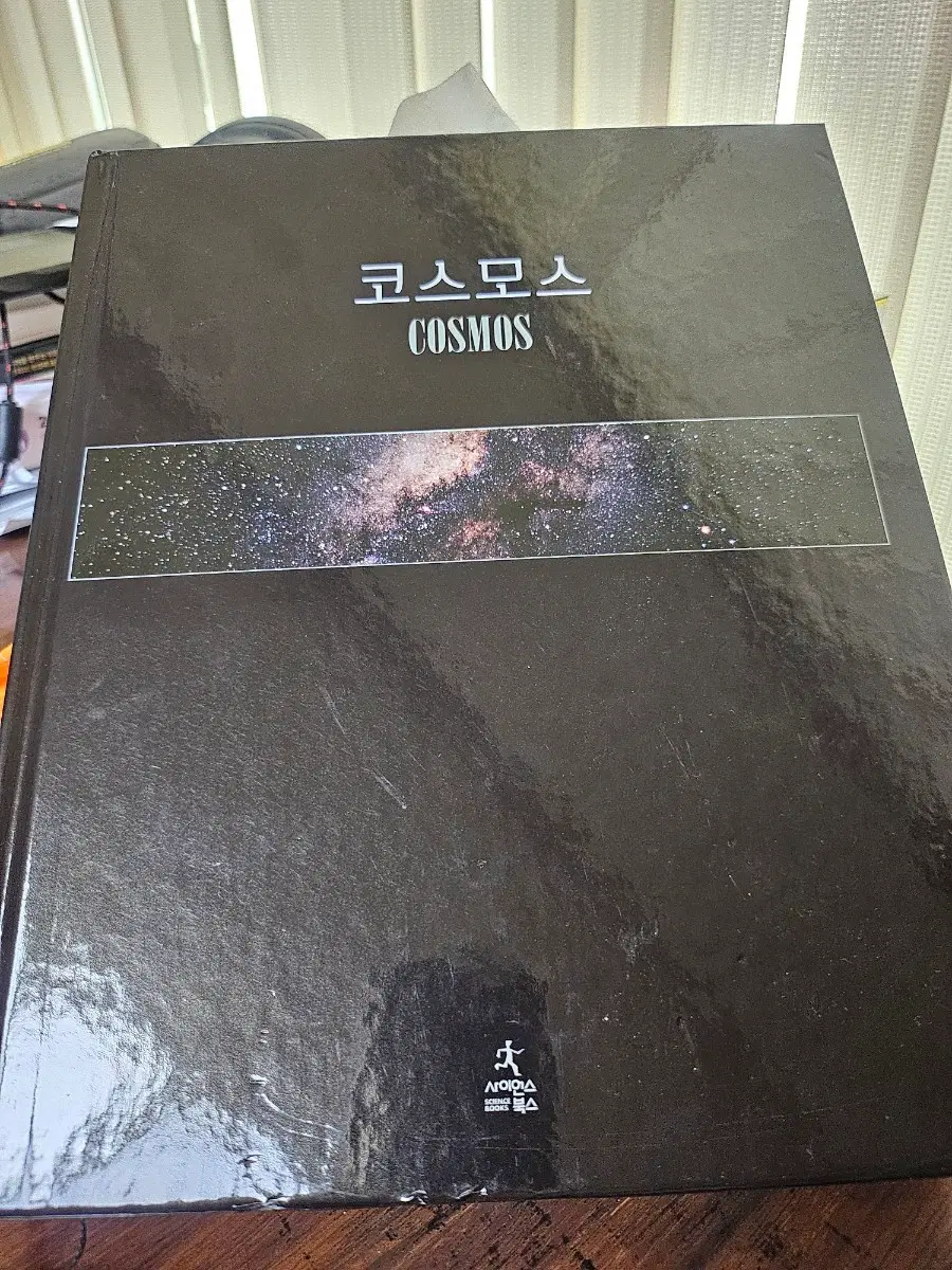 코스모스