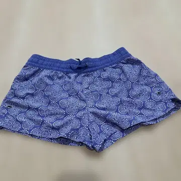 Patagonia 숏팬츠