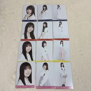 노기자카46 브로마이드 묶음 판매