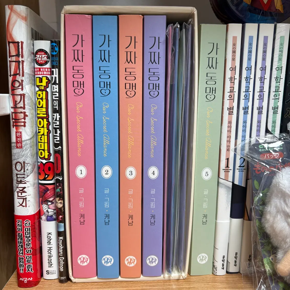 가짜동맹 전권 세트