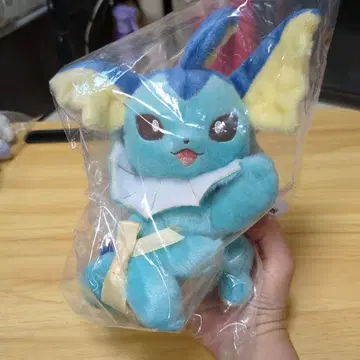 이브이 컬렉션 Eevee Collection