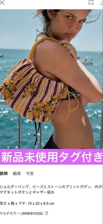 ZARA 비즈 미니 숄더백