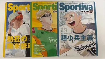 하이큐!! 소설판 Sportiva B5 비주얼 보드 2~13