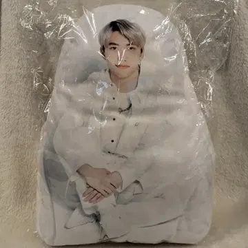 INI FuRyu 이케자키 리히토 다이컷 쿠션