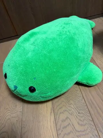[초레어!] 시로탄 그린