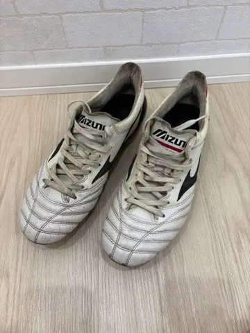 MIZUNO 모렐리아 네오