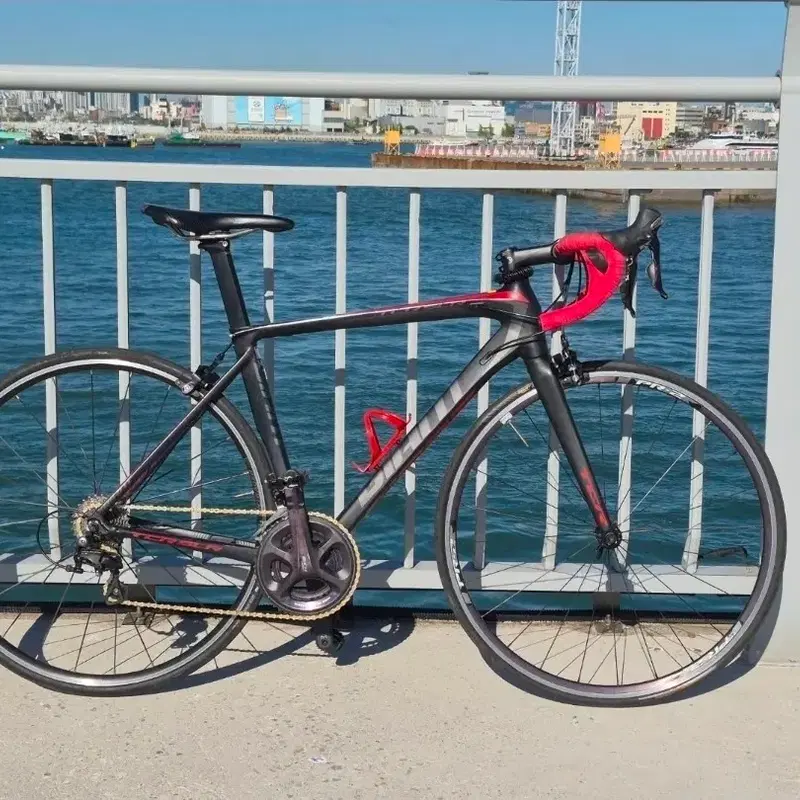 자이언트 TCR slr2 판/대