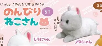 AMUFUN 느긋한 고양이 ST 봉제 인형 노아냥