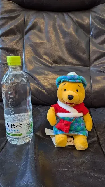 Disney 곰돌이 푸 봉제 인형 스코틀랜드 의상