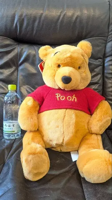 곰돌이 푸 봉제 인형 본체
