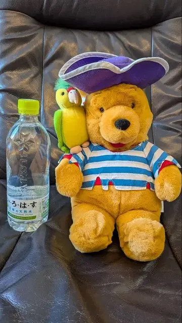 Disney Winnie the Pooh Pirate Plush