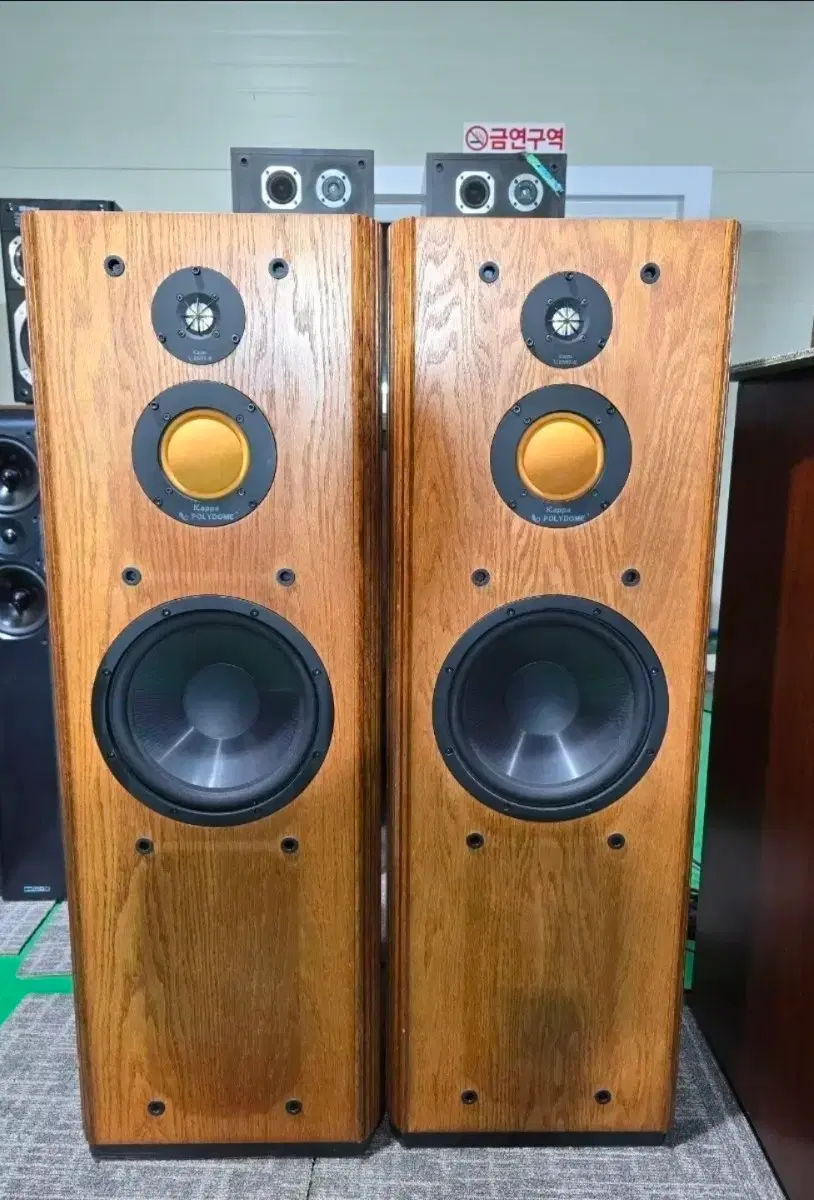 인피니티 INFINITY 7.1i 톨보이 스피커