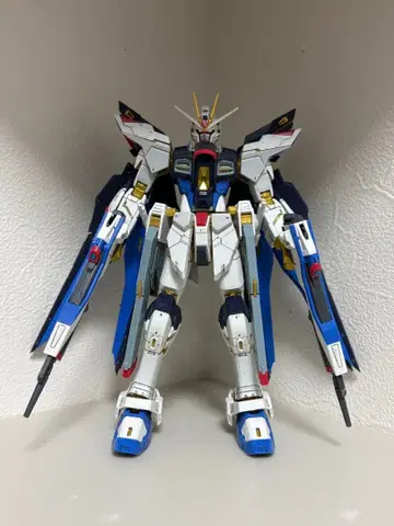 RG 1/144 스트라이크 프리덤 건담