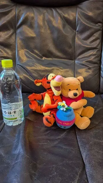 곰돌이 푸 티거 봉제 인형 세트
