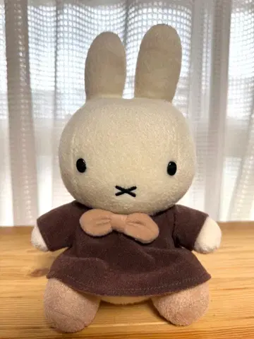 하우스텐보스 브라운 미피
