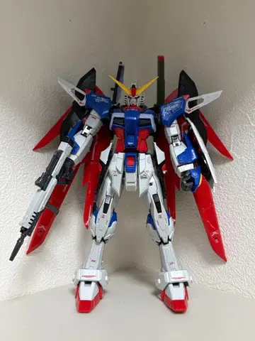 RG 1/144 데스티니 건담