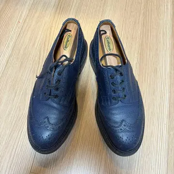 Tricker's for SOPHNET. 윙팁