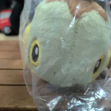 제일복권 포켓몬 봉제 인형 신오지방 여행 시작 4마리 세트