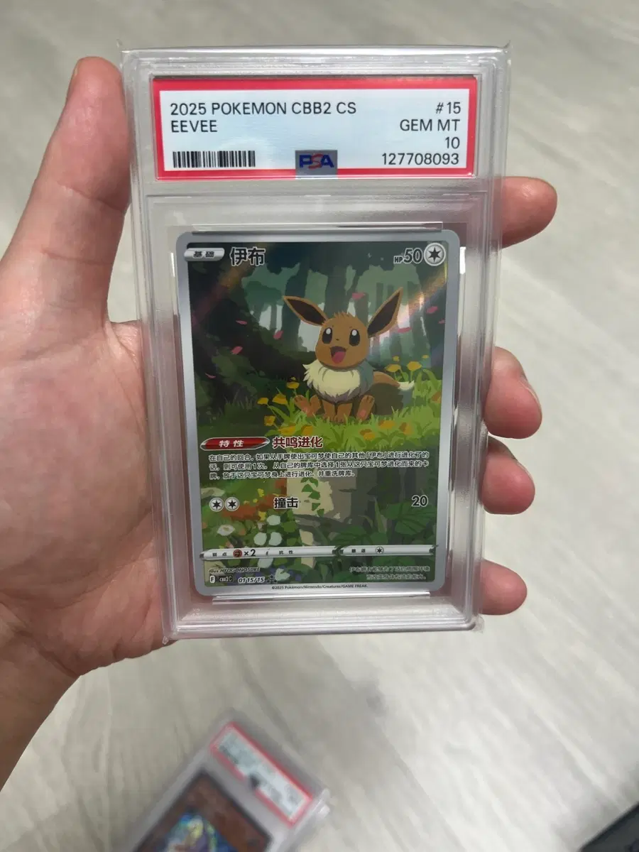 포켓몬 이브이 2025 CBB2 CS PSA 10 중판한정일러스트