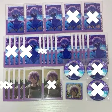 프로세카 카미시로 루이 사이버 에피카 22A 그리캔 40B
