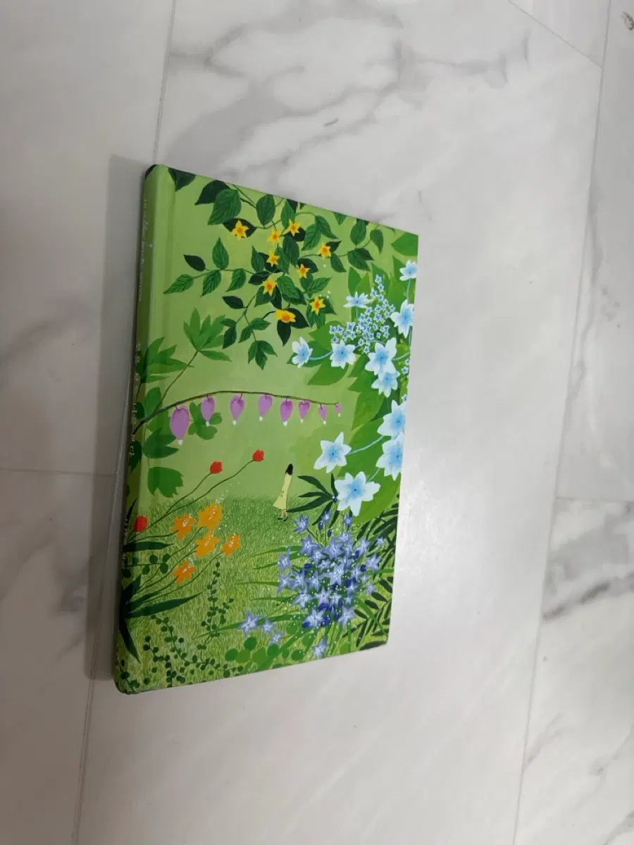 나태주 시집 꽃을 보듯 너를 본다