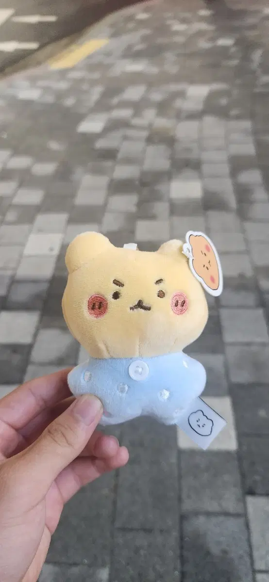 망곰이 곰곰이 인형 키링