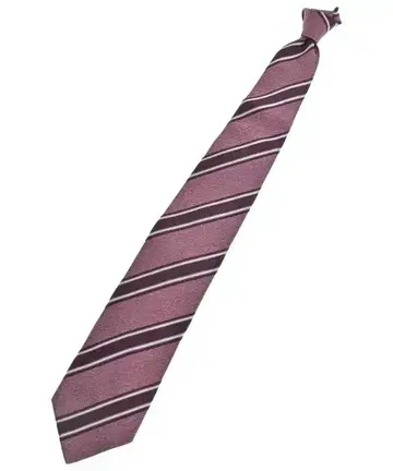 Corneliani 넥타이 남성용