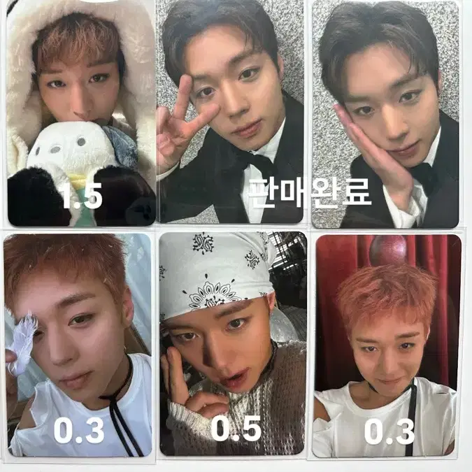 박지훈 포카 및 굿즈 양도