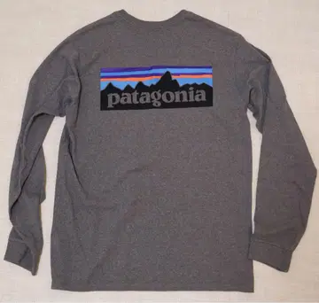 Patagonia 롱 슬리브 T셔츠 그레이
