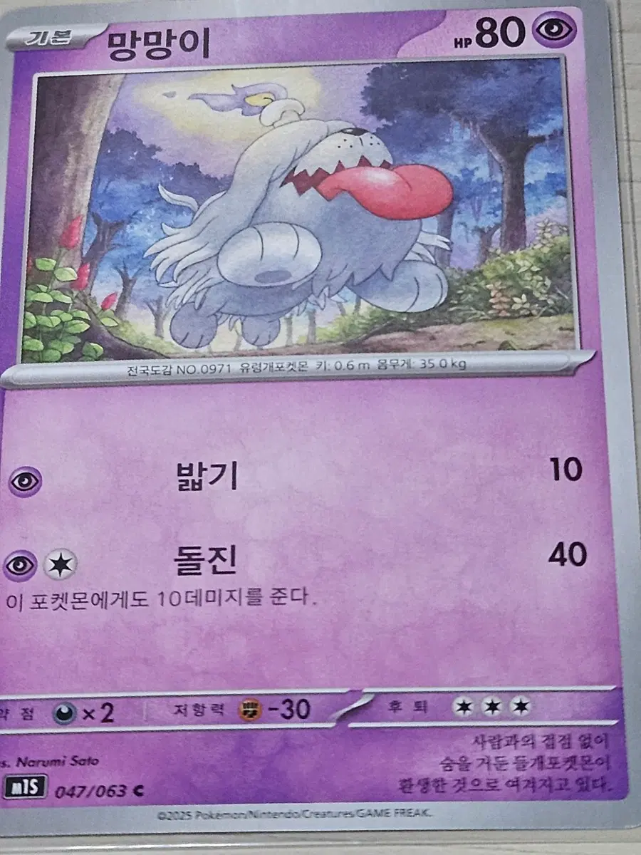 포켓몬카드 망망이