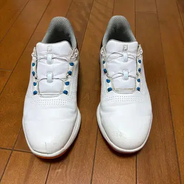 FootJoy 골프화 BOA 남성용 25.5cm