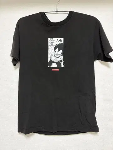 FLAGSTUFF 드래곤볼 티셔츠