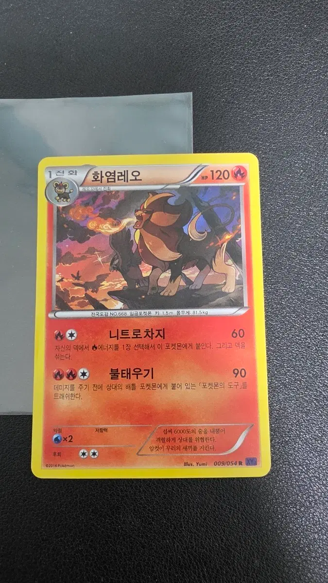 포켓몬 카드 화염레오 r xy11 009