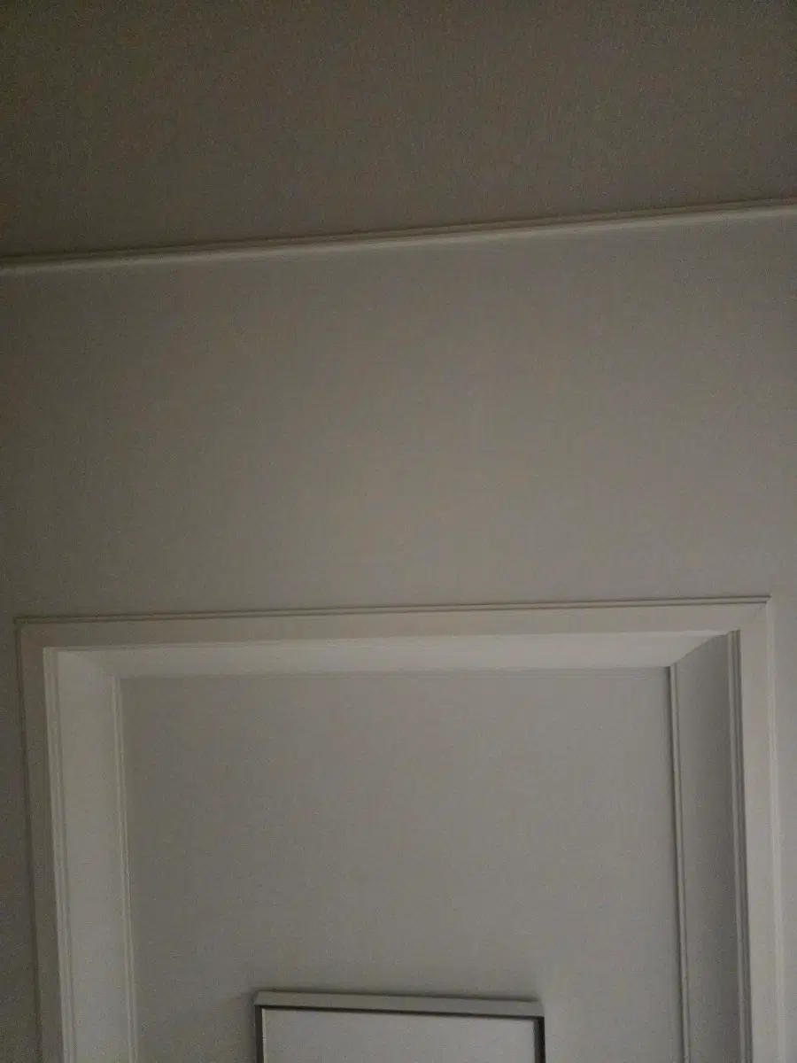 일괄