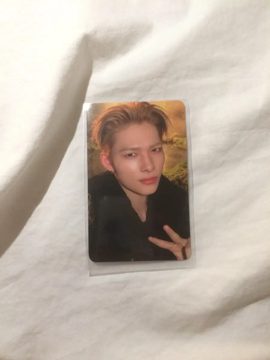 엔하이픈 니키 블러드사가 엔진존 포카