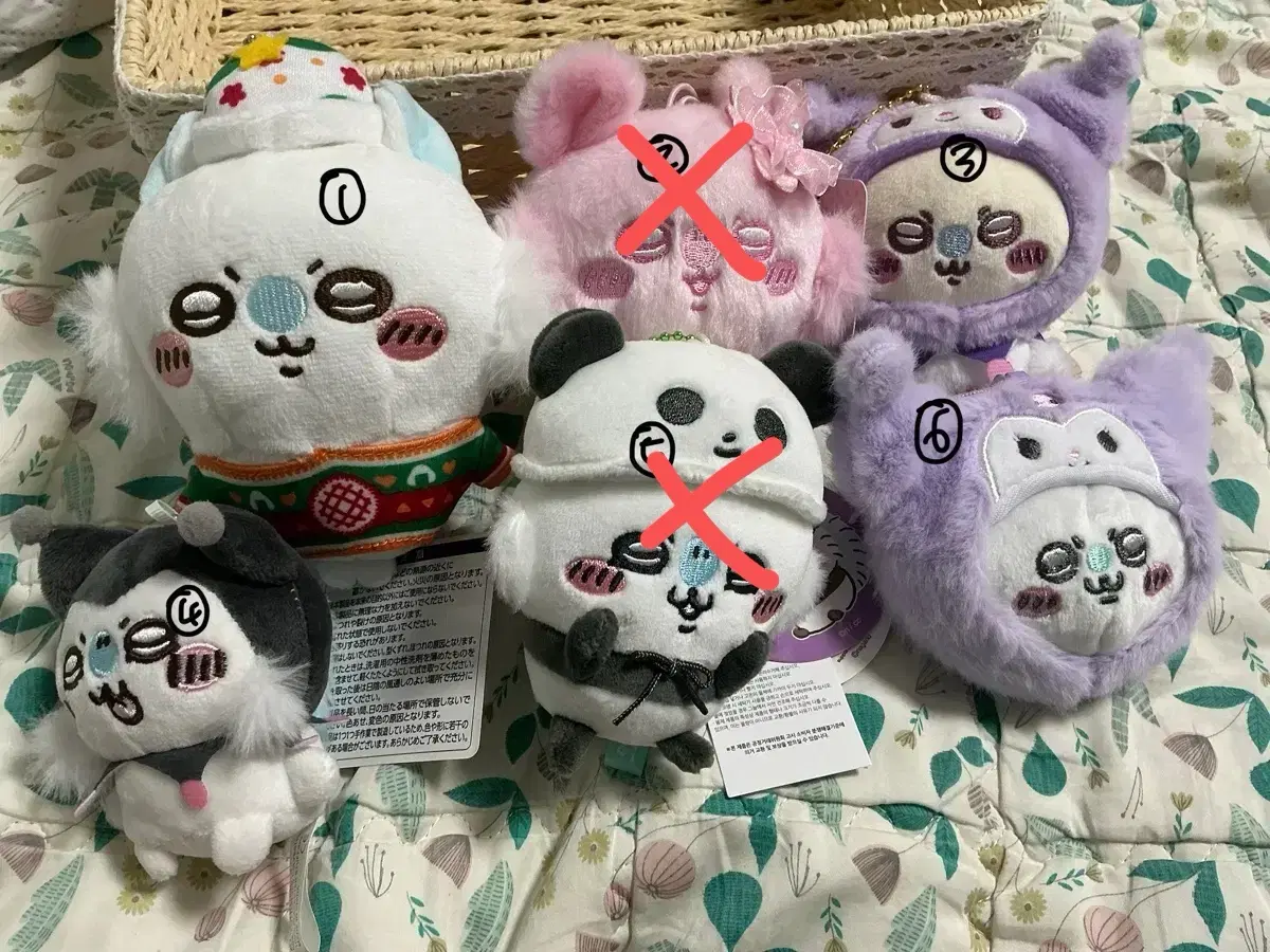 치이카와 모몽가 판매합니다!