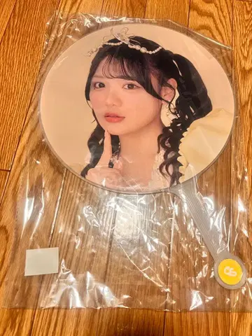 후루사와 리사 후리 부채