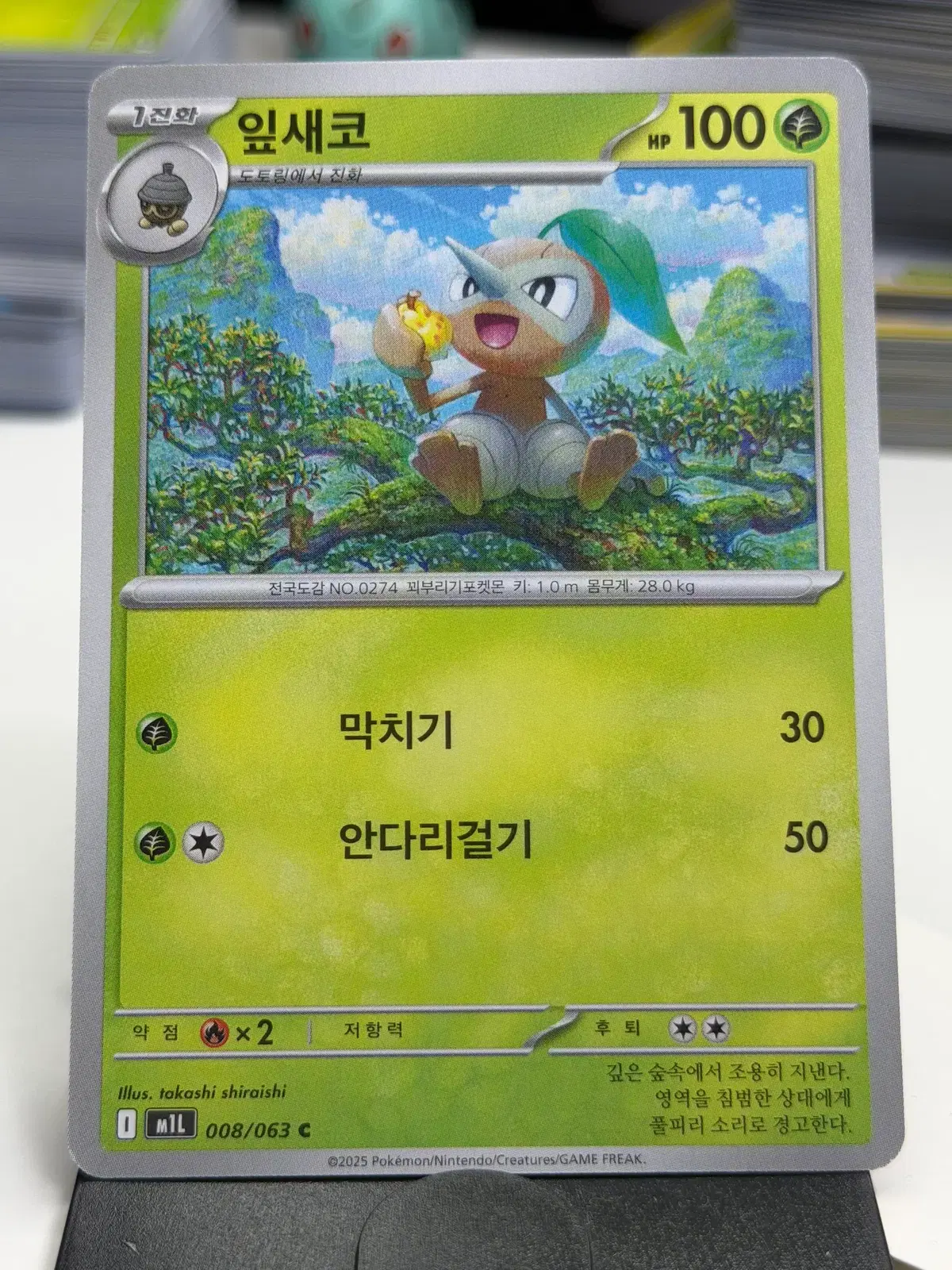 잎새코 m1L 008/063 C (300)원