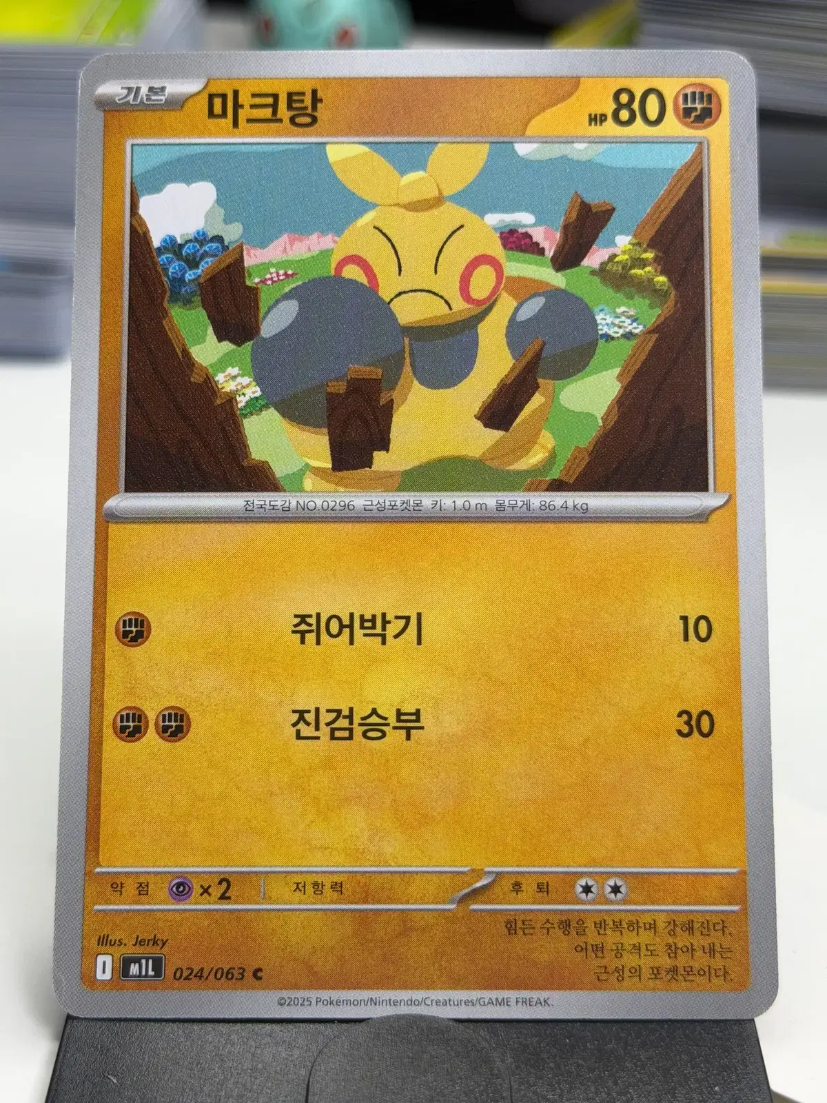 마크탕 m1L 024/063 C (300)원