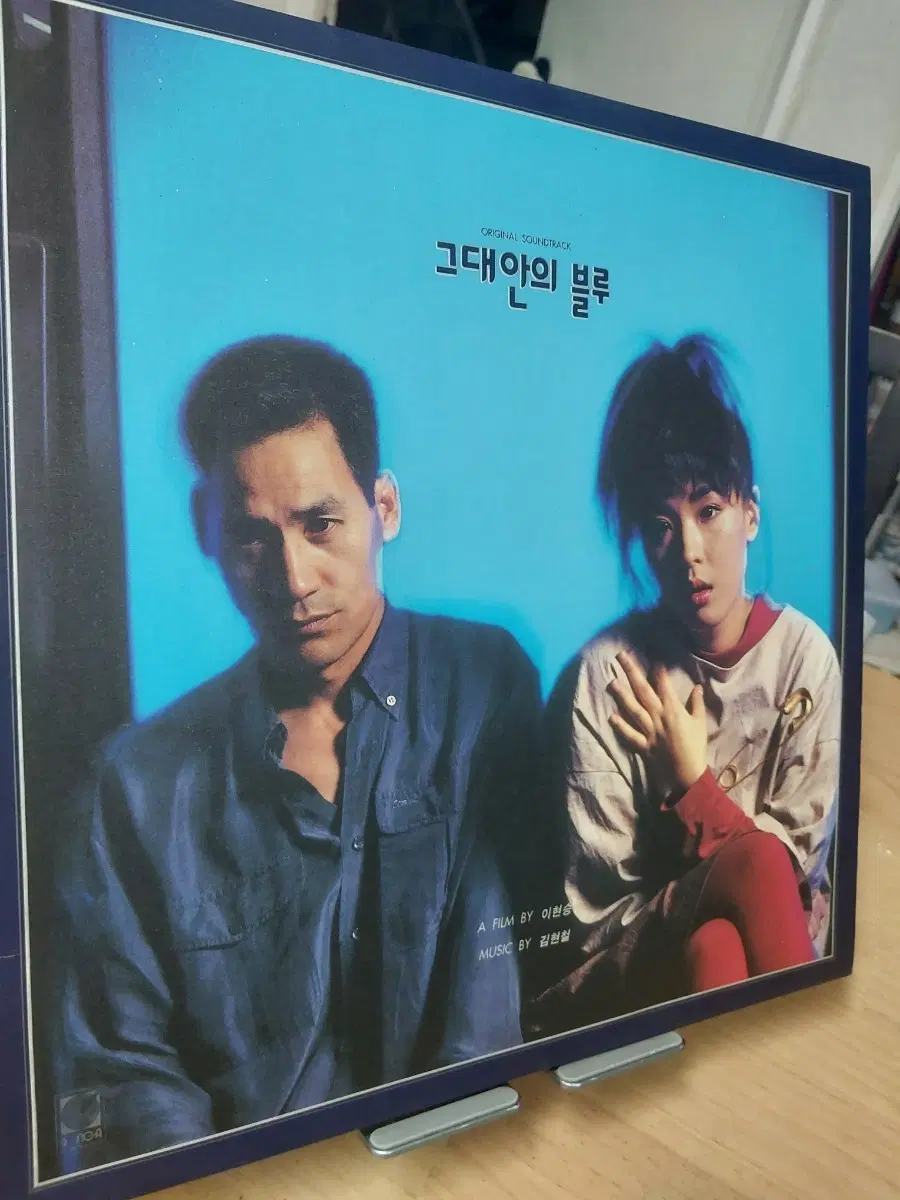 그대안의 블루 OST LP