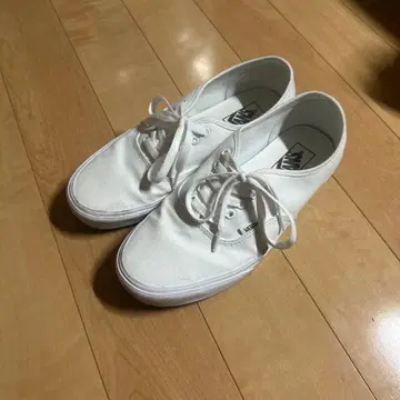 VANS Authentic 화이트 us 규격 새상품급