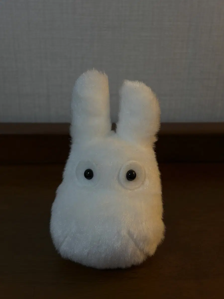 지브리 소토토로 s