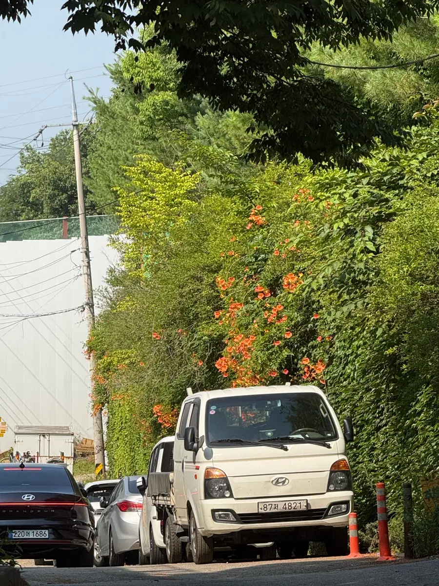 판매